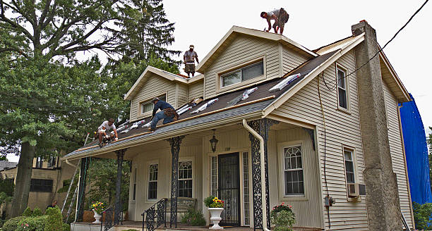 Best Flat Roof Repair Services  in USA